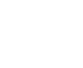 Festa