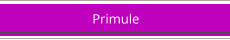 Primule