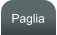 Paglia